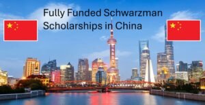 Scholarships in China