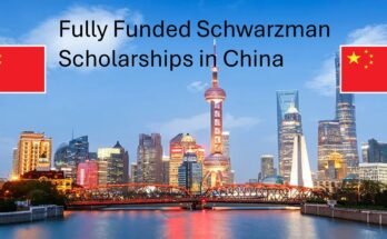 Scholarships in China