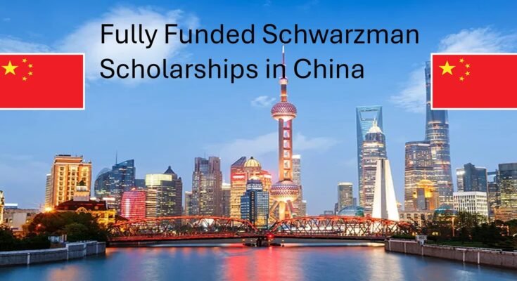 Scholarships in China