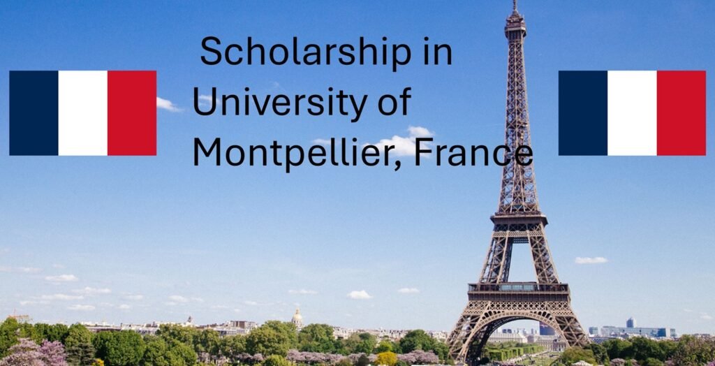 IDIL International Scholarship