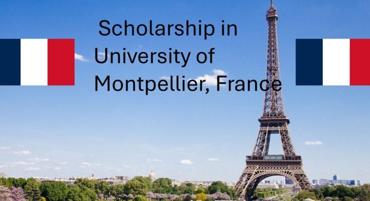IDIL International Scholarship