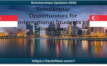 SINGA Scholarship