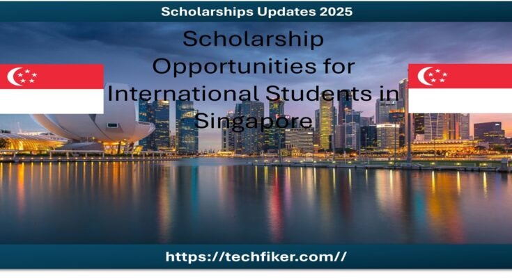 SINGA Scholarship