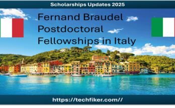 Fernand Braudel Postdoctoral Fellowships