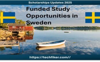University of Skövde Scholarships