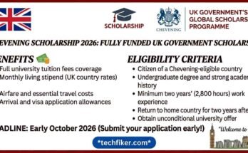 Chevening Scholarship